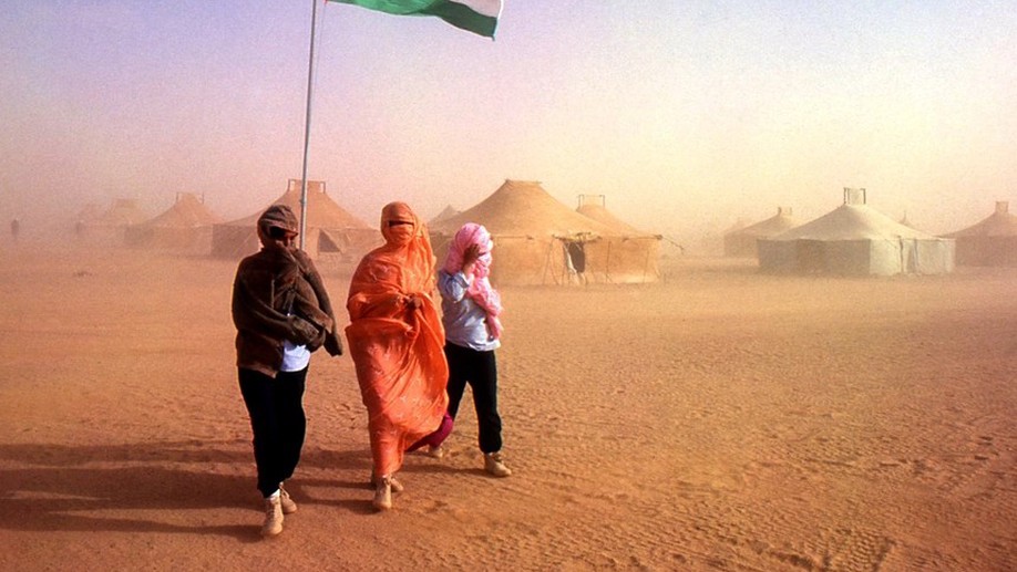 Misma bandera; diferentes enfoques